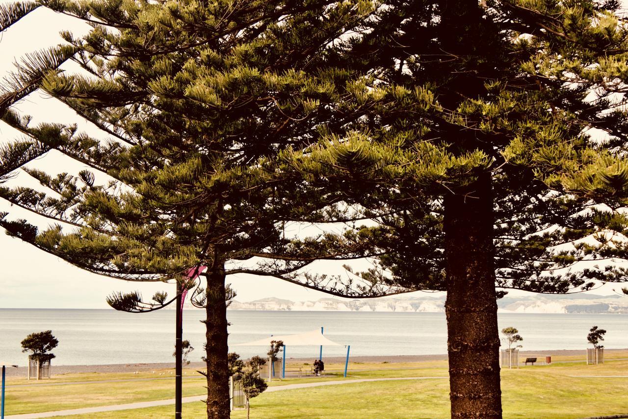 โรงแรม เดอะ นอติลุส เนเปียร์ ภายนอก รูปภาพ View of the bay from the foreshore