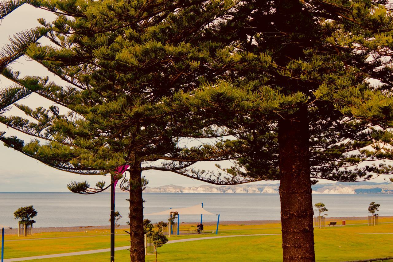 โรงแรม เดอะ นอติลุส เนเปียร์ ภายนอก รูปภาพ View of the bay from the foreshore